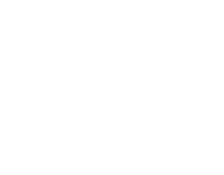 logo - Pegasus Construction Services